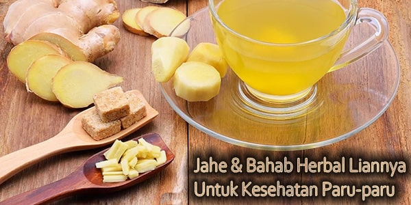 Bahan Herbal Untuk Kesehatan Paru-paru